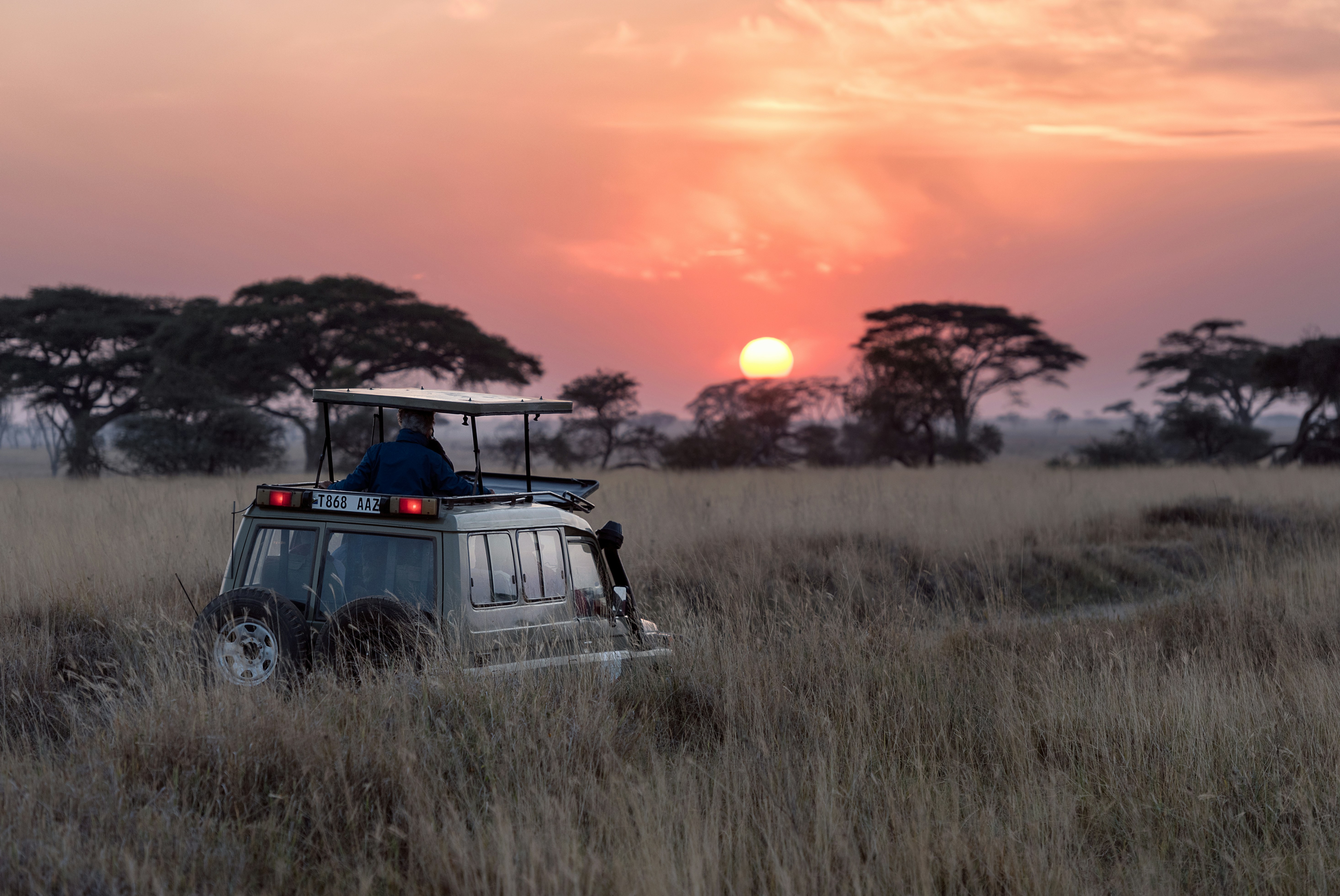 Africa - Safari — 3