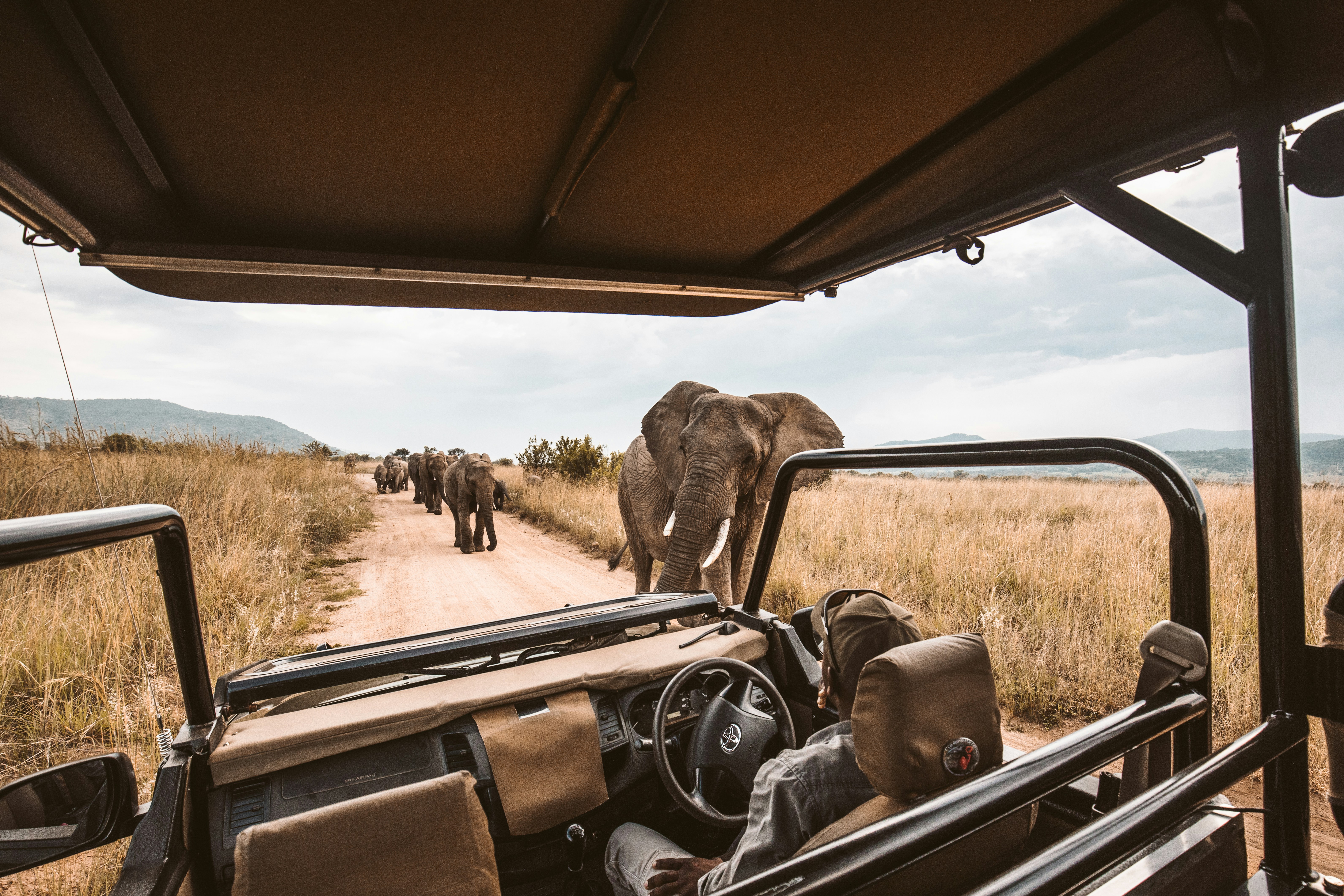 Africa - Safari