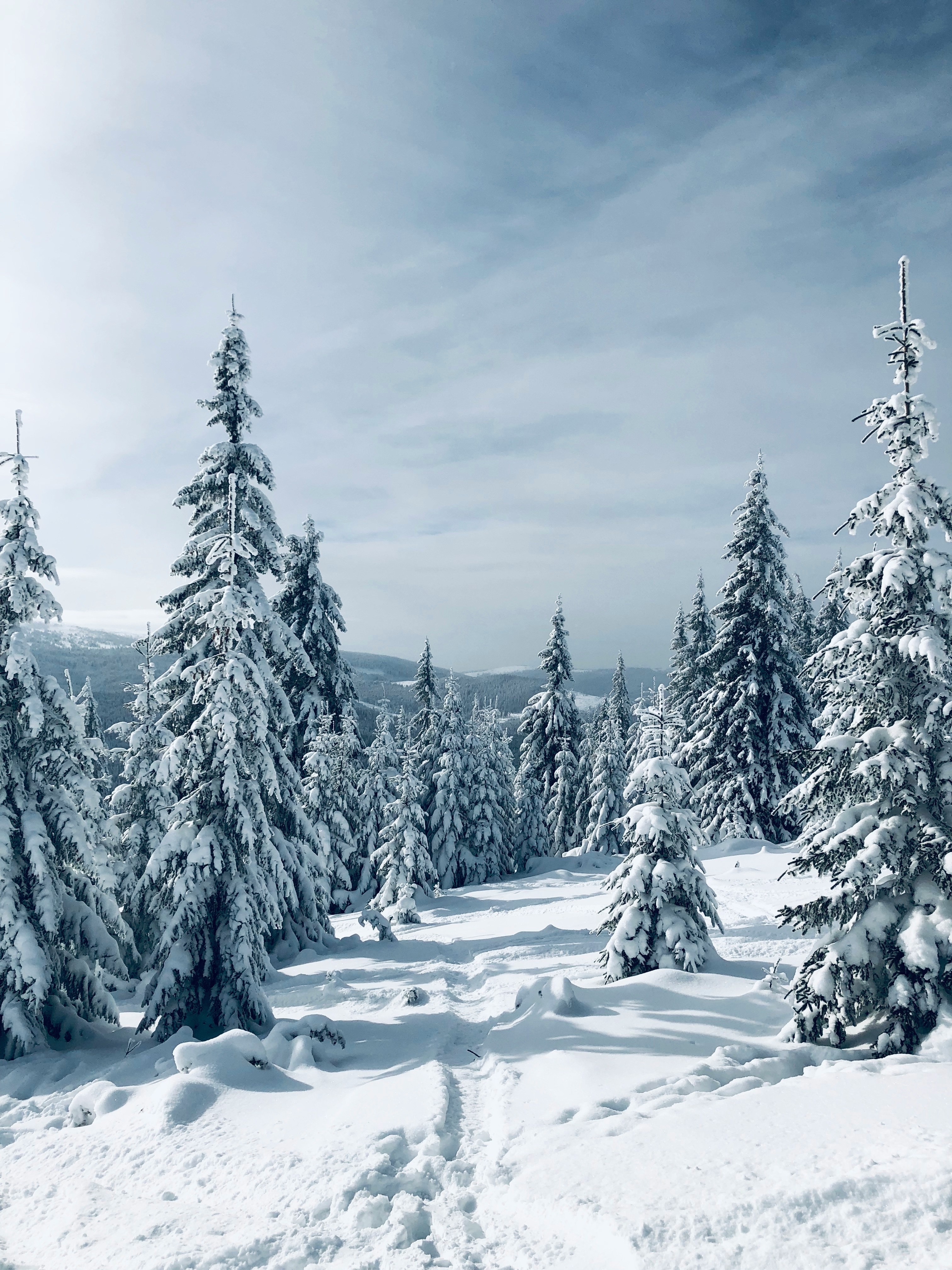 Ski - The Arlberg — 3