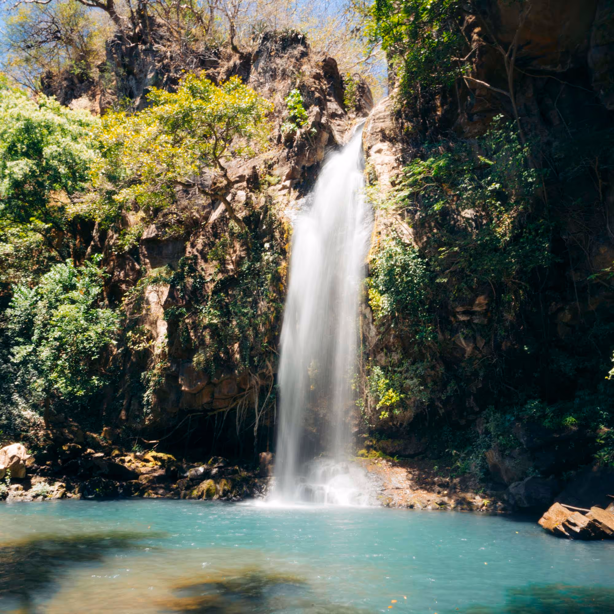 Santa Teresa — gallery 5